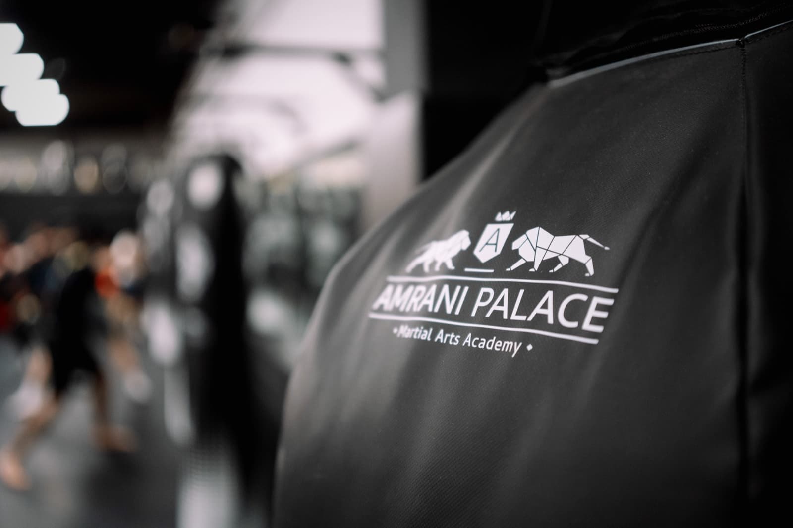 Amrani-Palace-Logo auf einem Schlagpolster