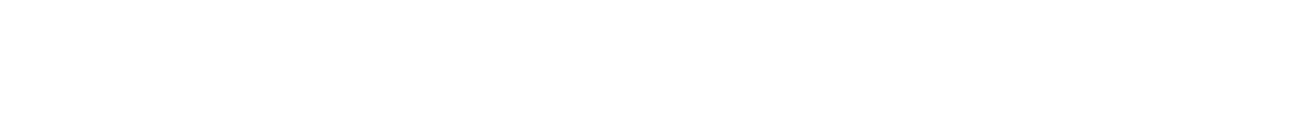 Faizi Capital