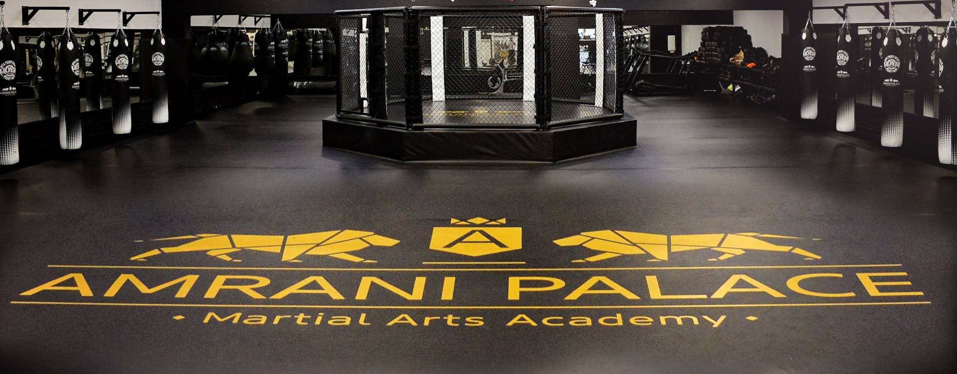 Amrani Palace Martial Arts Academy